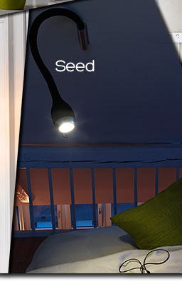 Applique Seed Northern Lighting