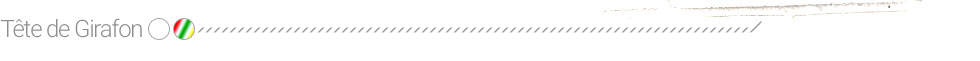 Tête de Girafon Artypopart