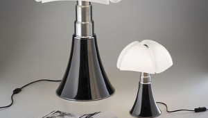 Nouvelles Mini Pipistrello