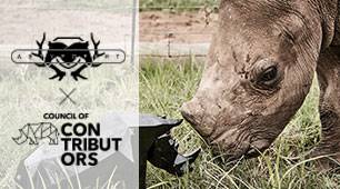 Impy le rhinocéros Artypopart