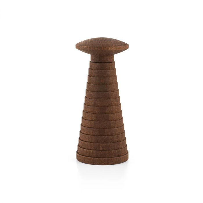 Mouline à épices Yucatan