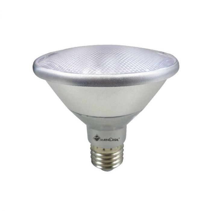 Ampoule LED Retrofit Stylos Lampe 227 PAR38 Non Dimmable