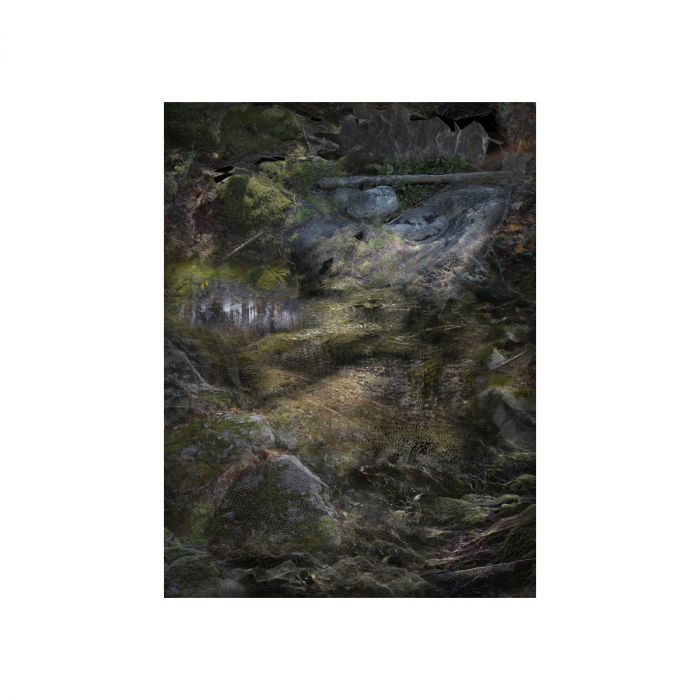 Tapis Forest Floors - Format portrait
