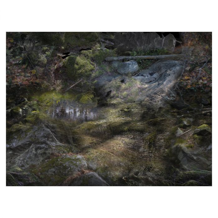 Tapis Forest Floors - Format paysage