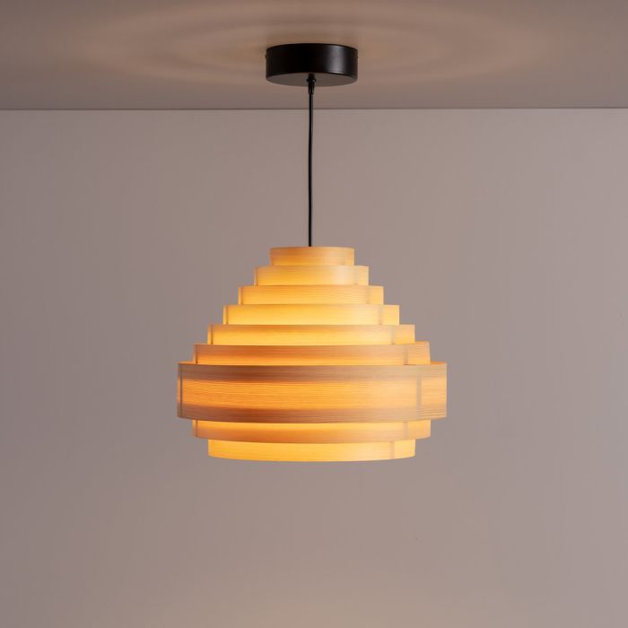 Suspension 1001 Hans 38