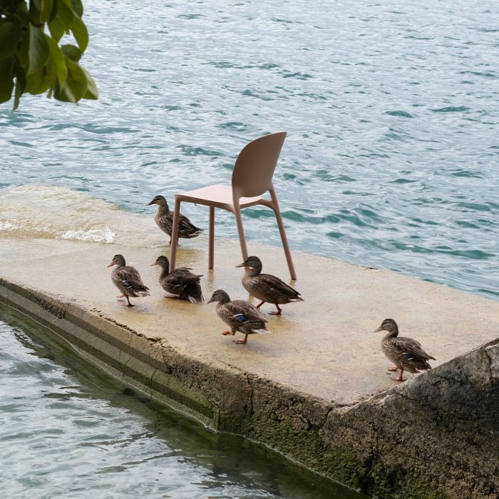 Chaise Hug - Lot de 6