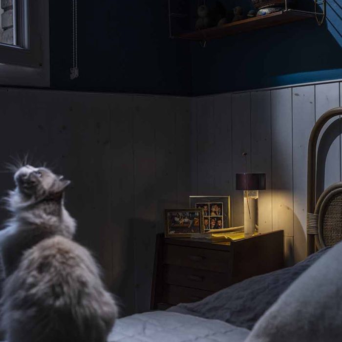 Fleur - Lampe rechargeable