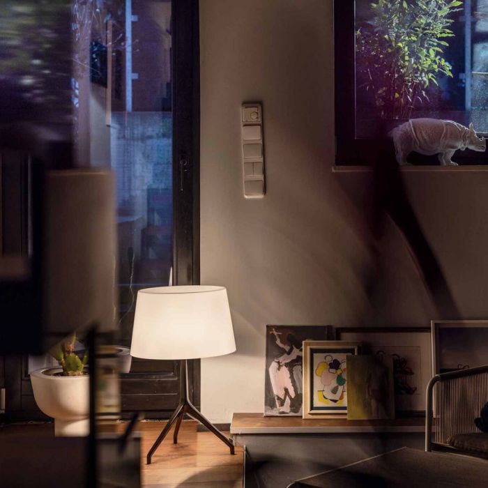 Lumiere XXL / XXS
