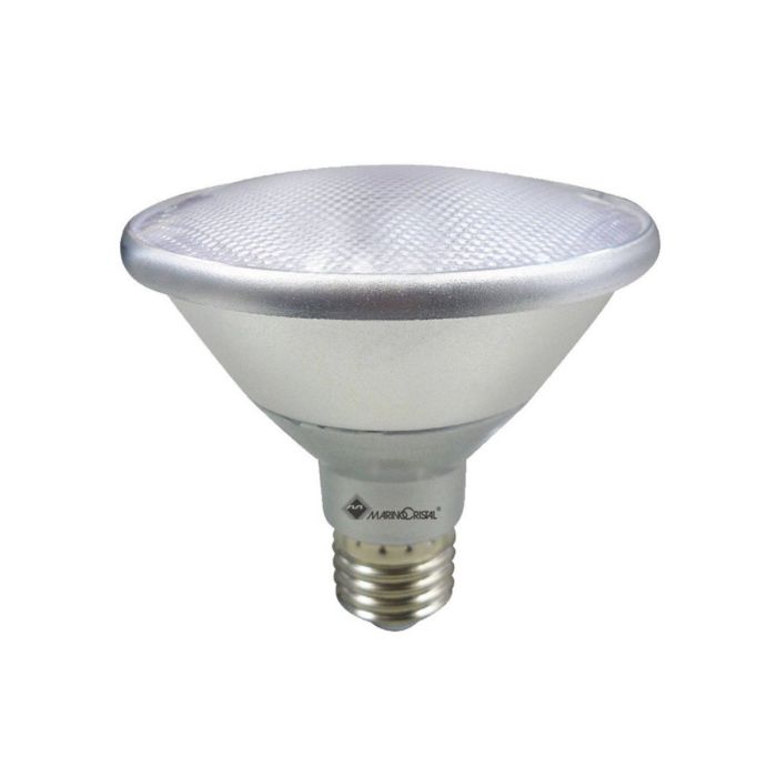 Ampoule LED Retrofit Stylos Lampe 227 PAR38 Non Dimmable