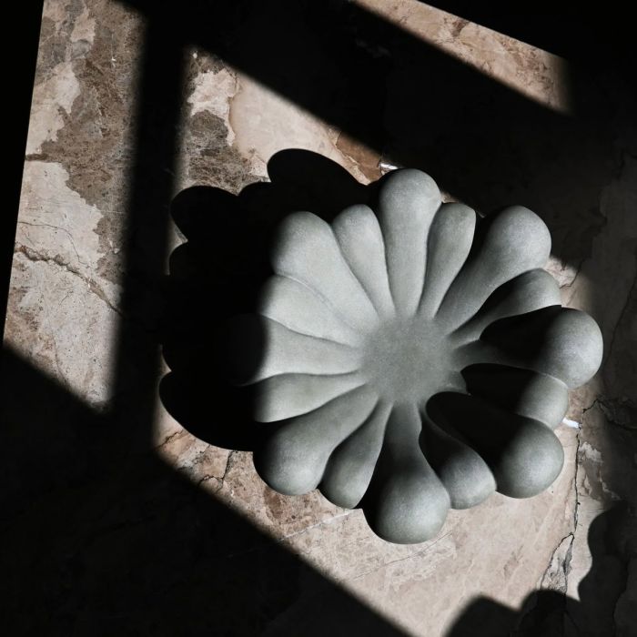Plateau Bloom