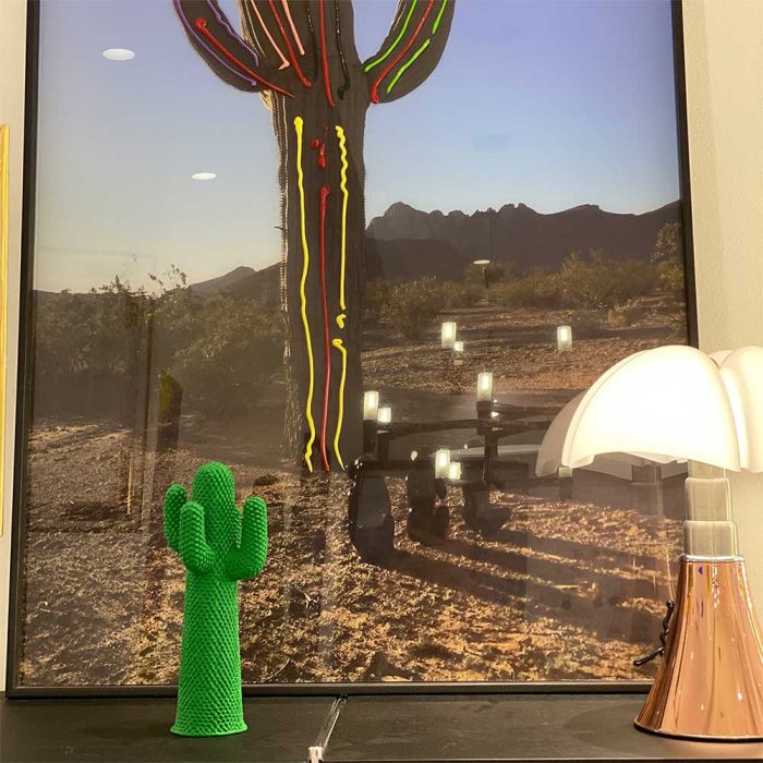 Guframini Cactus