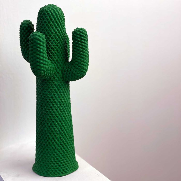 Guframini Cactus