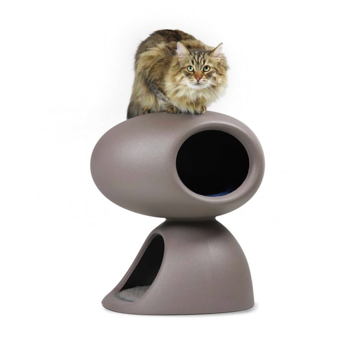 Cat cave