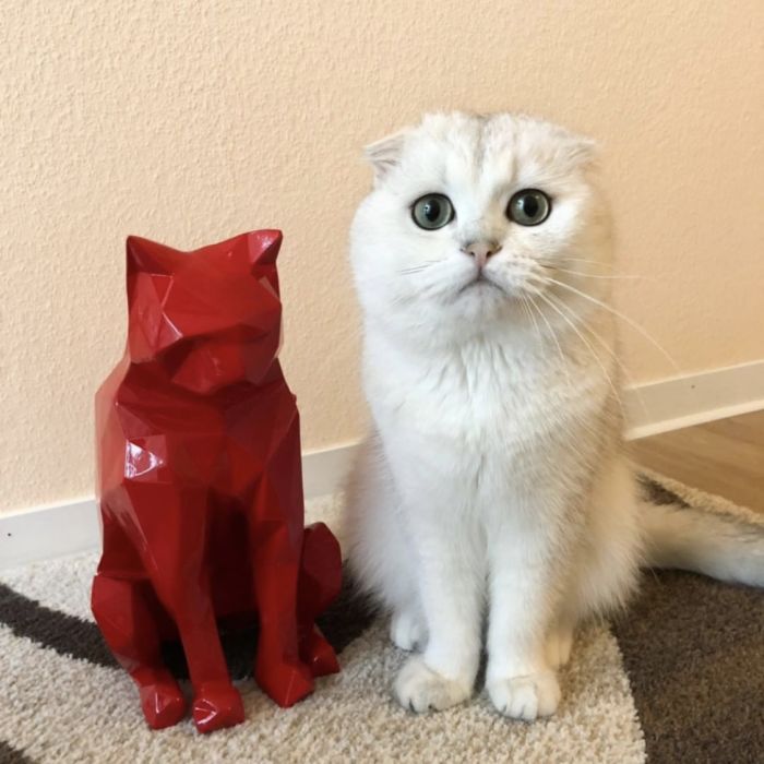 Chat origami