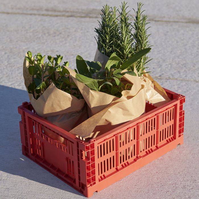 Panier Colour Crate - Lot de 4