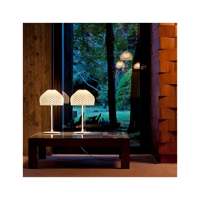 Tatou T1 