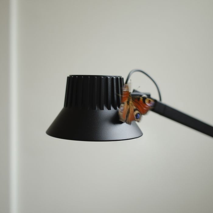 Dedicate - Lampadaire