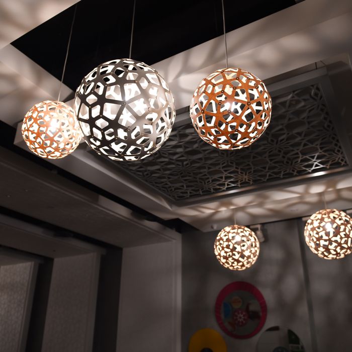 Coral Suspension