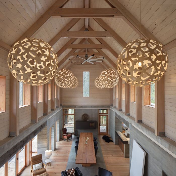 Coral Suspension