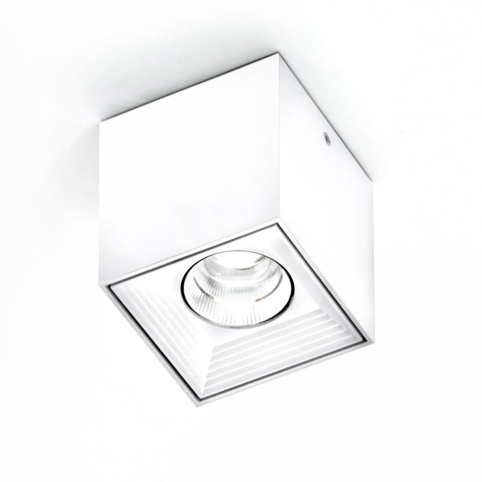 MLN Dau spot LED plafonnier