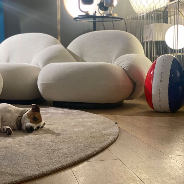 Oeuf France
