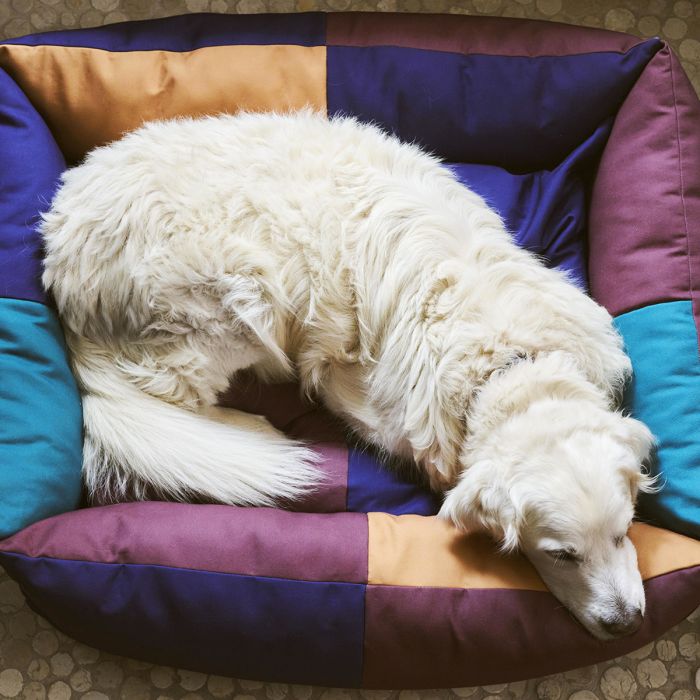 Panier pour chien Hay