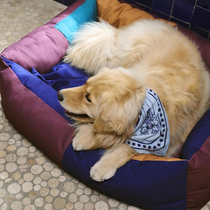 Panier pour chien Hay