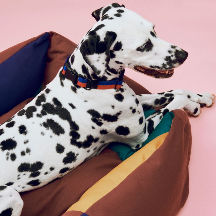 Panier pour chien Hay