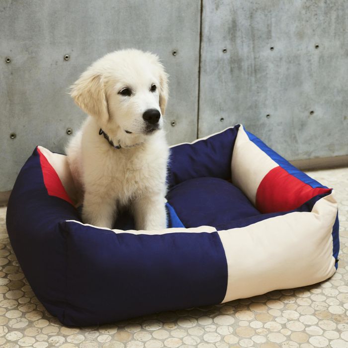 Panier pour chien Hay