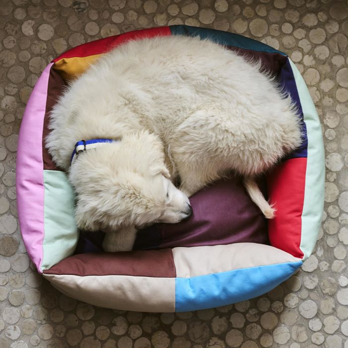 Panier pour chien Hay