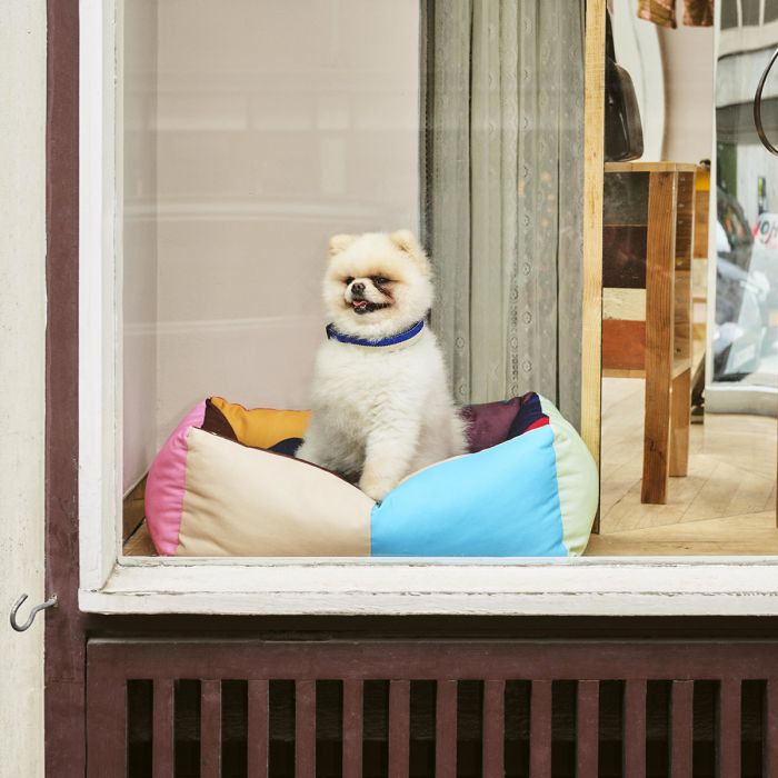 Panier pour chien Hay