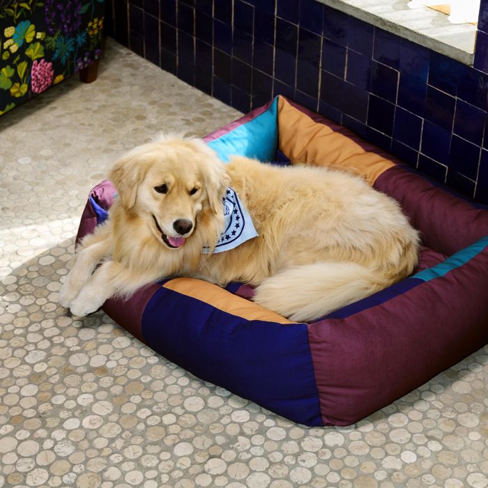 Panier pour chien Hay