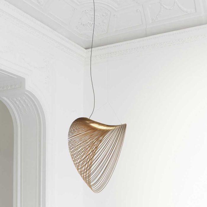 Suspension Illan
