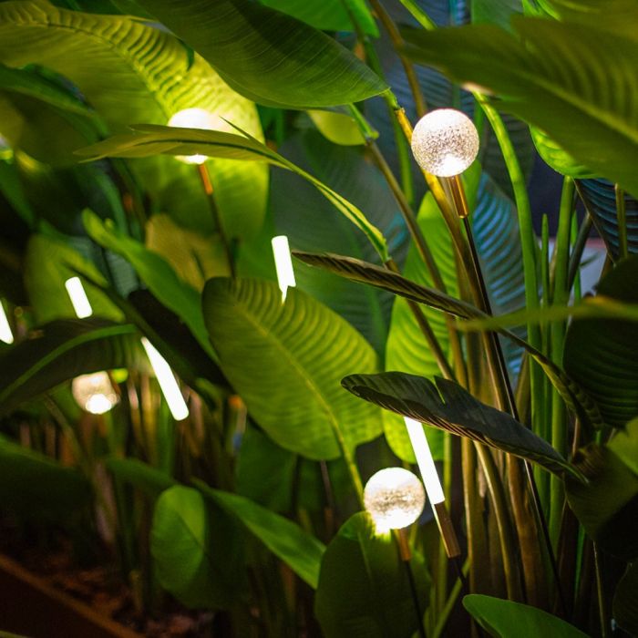 Lampe Syphasera