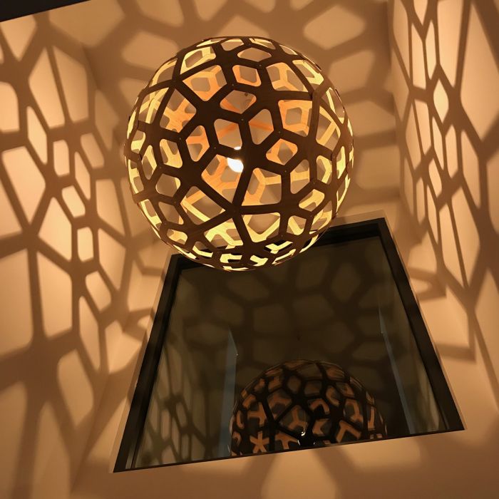 Coral Suspension