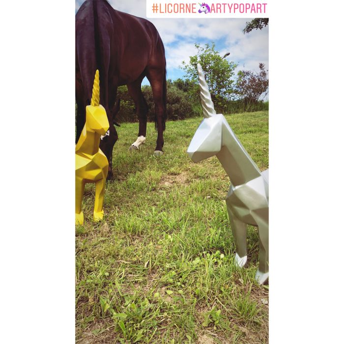 Licorne - Medium