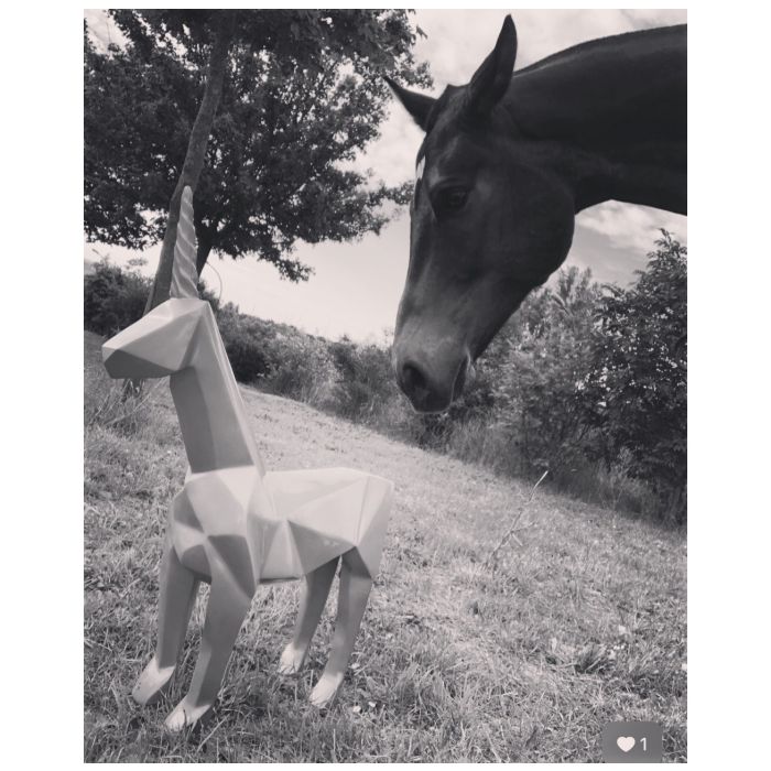 Licorne - Medium
