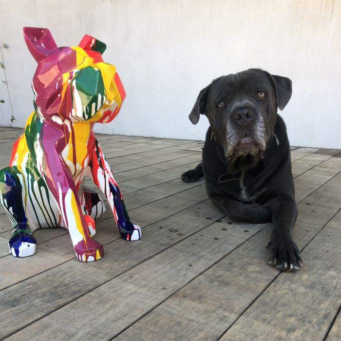 Bulldog origami