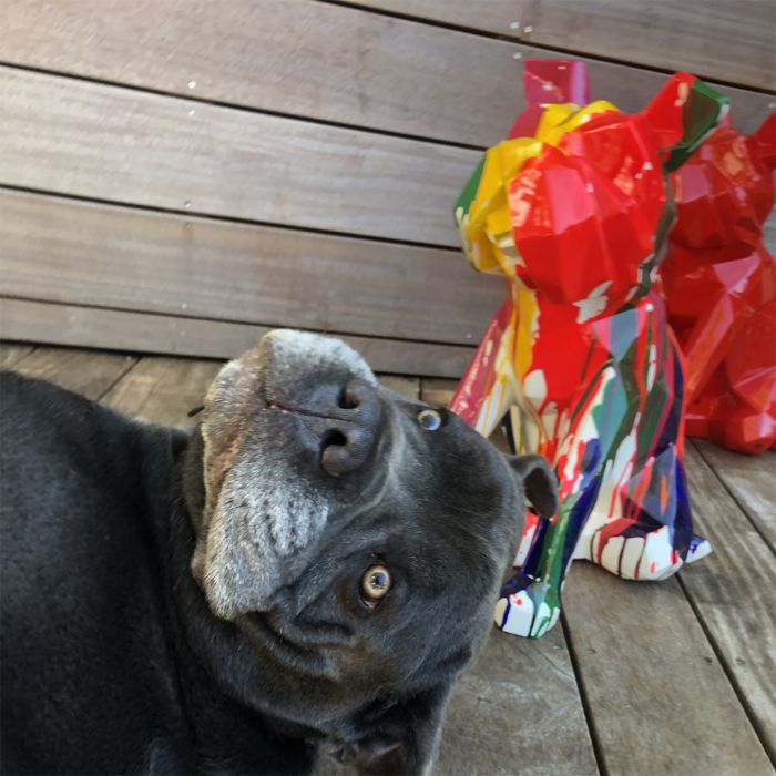Bulldog origami