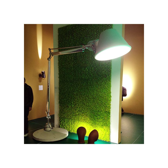 Tolomeo XXL