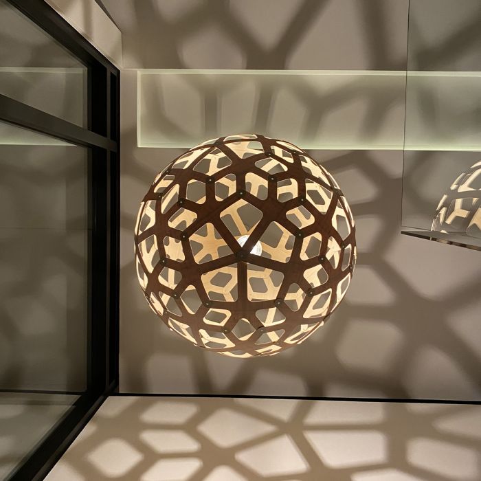 Coral Suspension