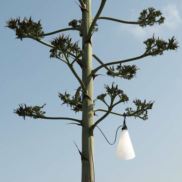 May Day Outdoor