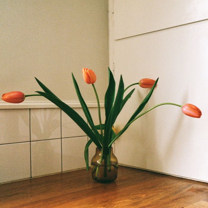 Vase Silent
