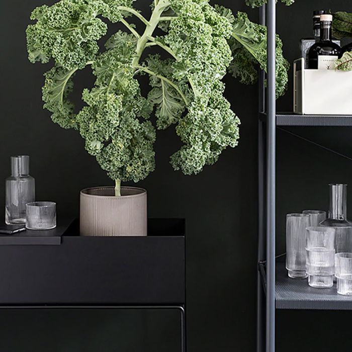 Jardinière Plant Box