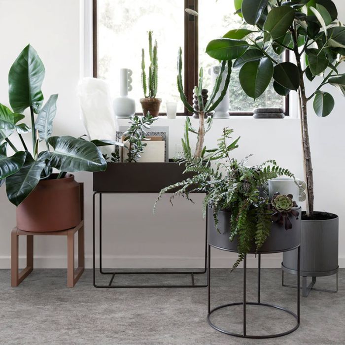 Jardinière Plant Box