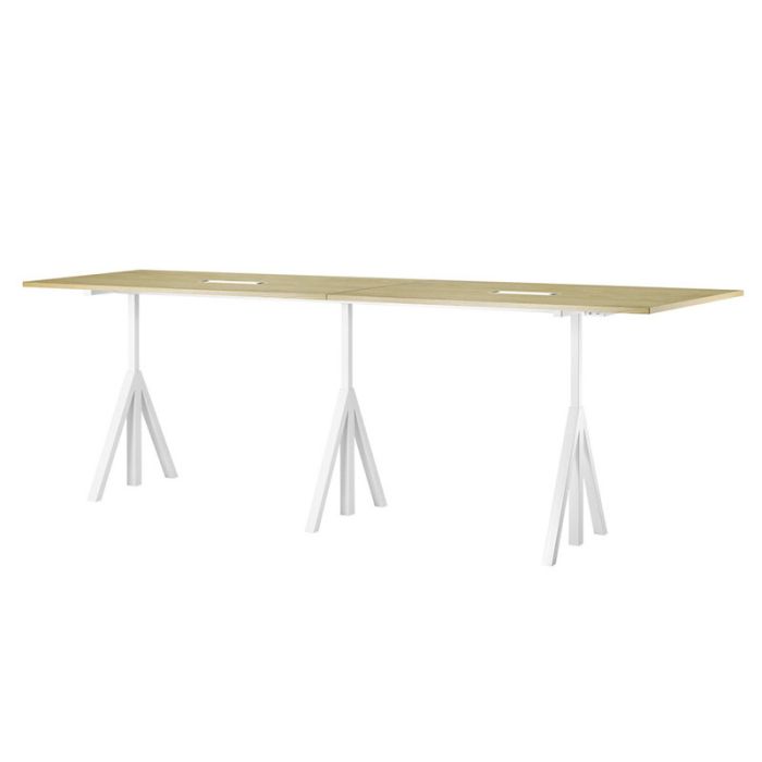 Height-Adjustable conference table