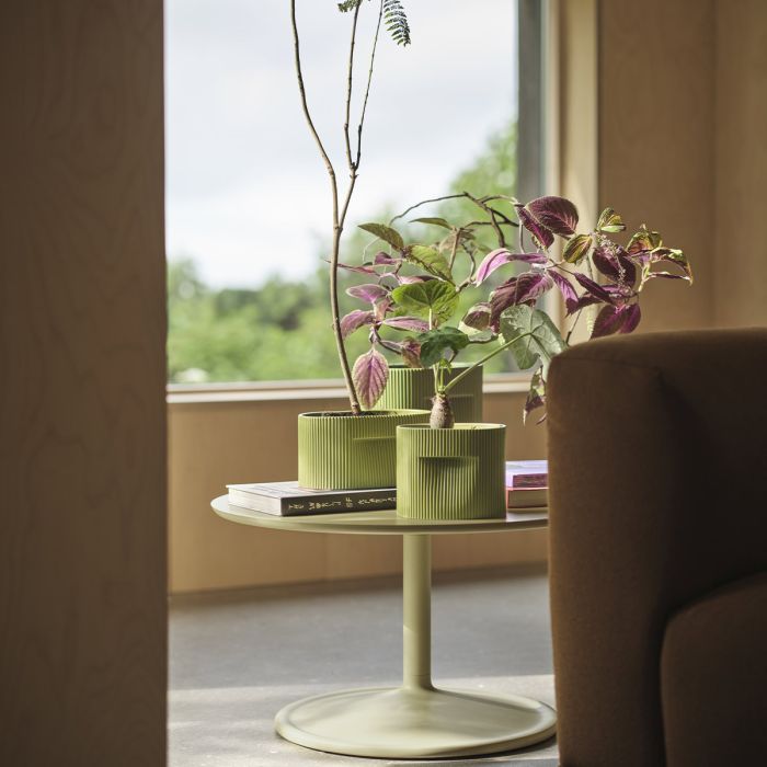 Vase Ridge
