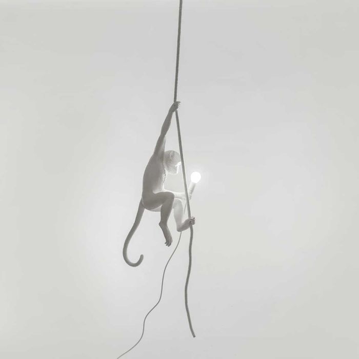 Suspension The Monkey Lamp