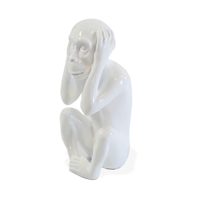 Singe "N'entend pas"
