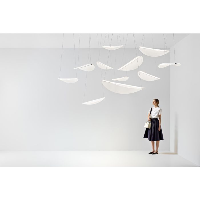 Diphy Suspension